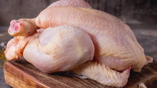cara merontokkan bulu ayam