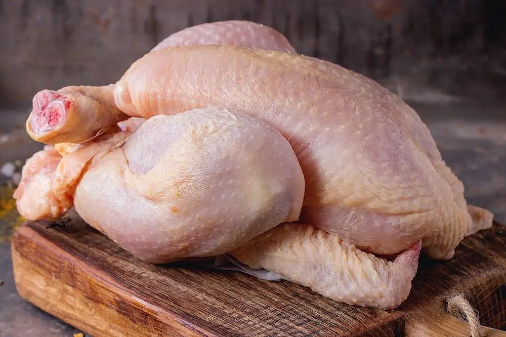 cara merontokkan bulu ayam