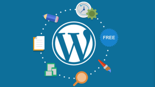 database WordPress
