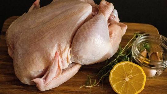 cara membersihkan ayam setelah potong
