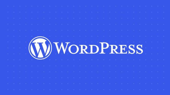 Featured Image WordPress