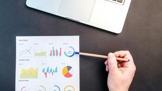 penguatan posisi merek di internet