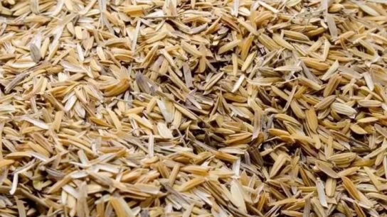 cara memanfaatkan limbah sekam padi