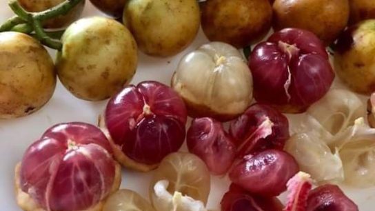 penyebab buah cepat berubah warna