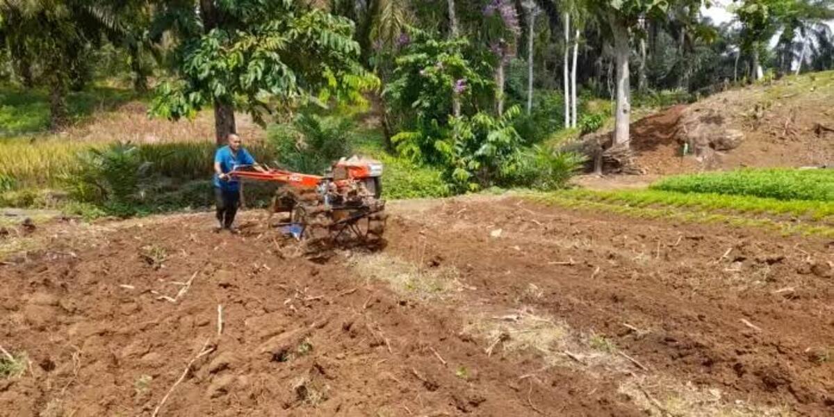cara membajak lahan tanah kering